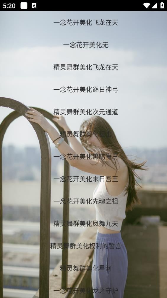 街头篮球美化包截图2