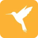 HttpCanary手机版