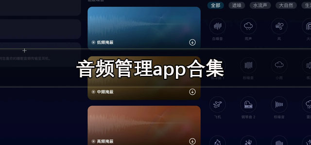 音频管理