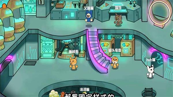 卵生猫之星际海贼团