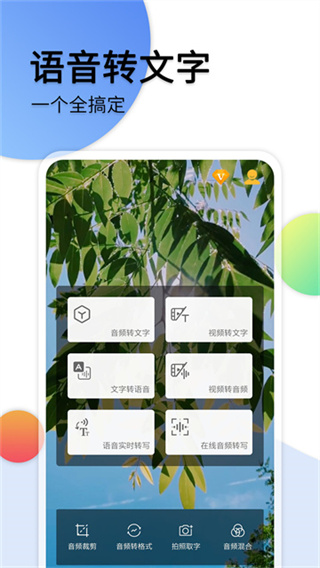 音频转文字助手截图2