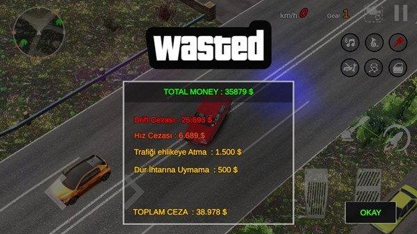 多根汽车模拟器2截图1