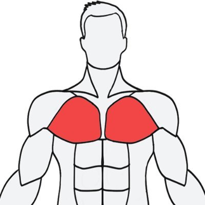 Musclewiki