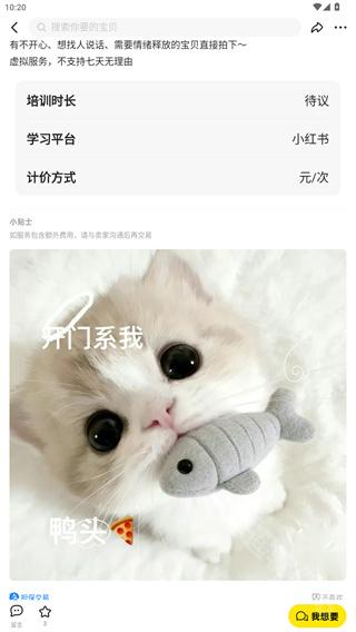 闲鱼