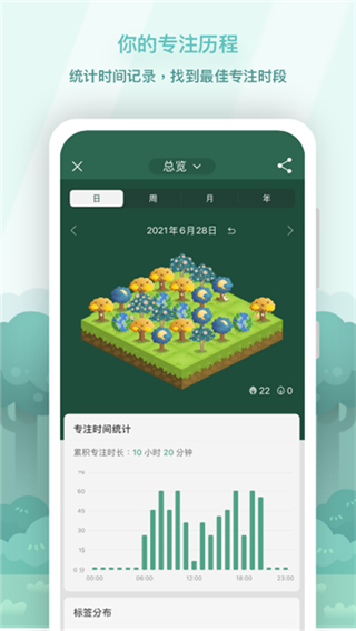 forest专注森林