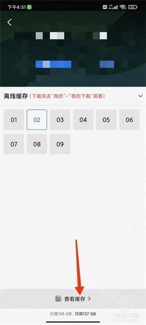 蓝狐视频